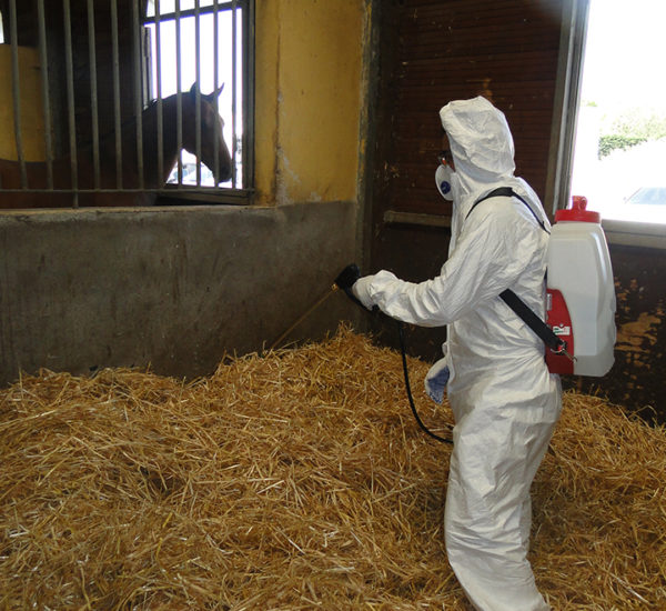 Dorsal Sprayer désinfection boxes écuries